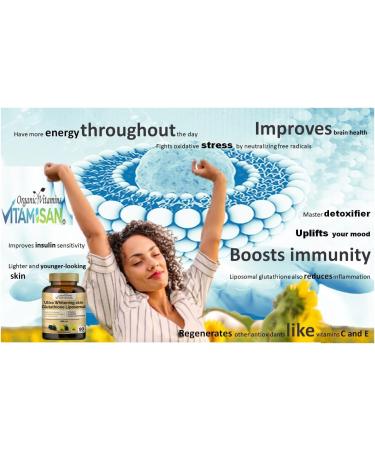 VITAMISAN Glutathione Liposomal NAC Milk Thistle Collagen 3000mg - 90 Capsules | Made in USA - Buy Online on GoSupps.com
