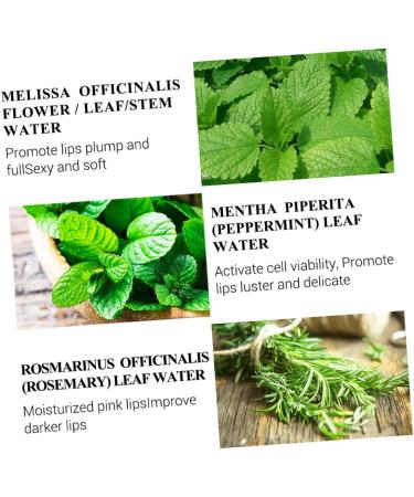 TOVINANNA 4pcs Lip Serum Lip Oils Lip Gloss Lip Tint Lipgloss Lip Balm Lip Moisturizer Oil Lip Oil Balm Water - Buy Online on GoSupps.com