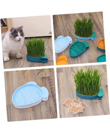 Buy Buguuyo 3 Series Cat Grass Box with Catnip - Perfect Plastic Plant Planters for Pets - Buy Online on GoSupps.com