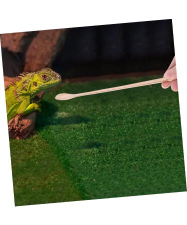 BESPORTBLE 6 Pcs Animal Feeding Pet Food Scoop Reptile Reptile Stainless Steel 19.20X1.30X0.20CMx3pcs Goldenx3pcs - Buy Online on GoSupps.com