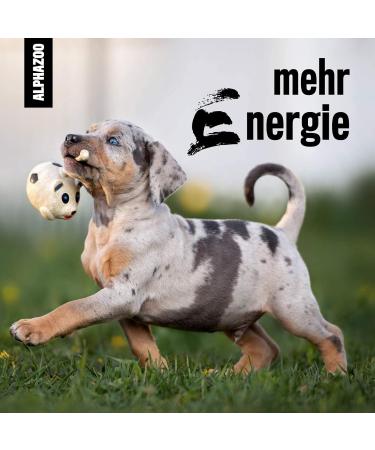 Alphazoo Premium Linseed Oil for Dogs Cats & Rodents - Cold-Pressed Omega-3 & Omega-6 250ml | Fur Care & Digestion - Buy Online on GoSupps.com