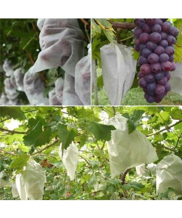 jweemax 100Pcs Nylon Fruit Bags Anti-Bird Protect Bags Reusable Net Bags Grapes Protection Bags with Drawstring - Buy Online on GoSupps.com
