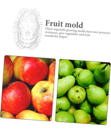 SEWOART Vegetable Mold Fruit Melon Shaping Mold Vegetable DIY Multifunction to Play with - Buy Online on GoSupps.com