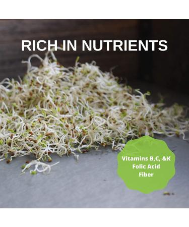 Certified Organic Alfalfa Sprouting Seeds - 8 oz Pouch - Handy Pantry Brand - High Germination Rate for Sprouts, Gardening, Hydroponics, and Food Storage - Buy Online on GoSupps.com