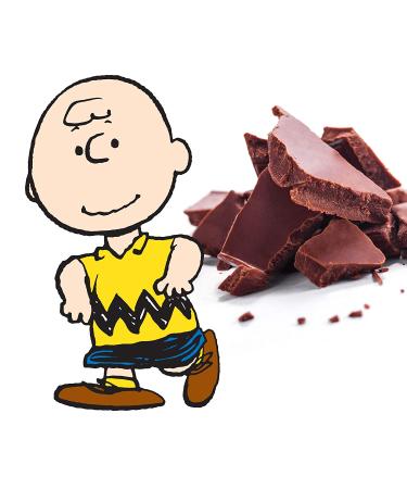 Peanuts Chocolate Thanksgiving Variety Gift Pack - Snoopy Gourmet Bar Set | 1.75oz 5-Bar Rich Belgian Chocolate Box Set | Kosher Candy | Great Charlie Brown Gifts for Kids | Perfect Host Gift Shopping | Prime Holiday Delivery - Buy Online on GoSupps.com