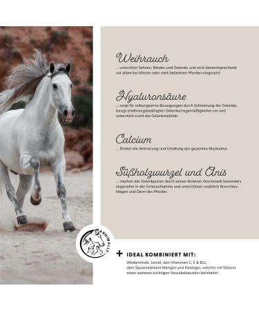 Annimally Joint Powder for Horses 850g - Collagen MSM Glucosamine & More | Strengthen Horse Joints - Alternative to Liquid - Buy Online on GoSupps.com
