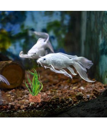 Shenrongtong Aquarium Plant Weights - 80 Solid Rings for Aquatic Plants | Anti-Swimming Flower Pot Holders & Aquarium Accessories - Buy Online on GoSupps.com