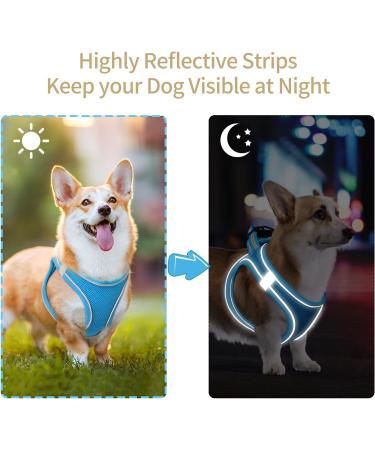 Heele Small Soft Dog Dishes & Adjustable Puppy Harness - Safe Air Mesh Vest for Walking Running & Training - Reflective Sky Blue XS - Buy Online on GoSupps.com