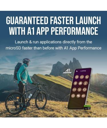 PNY 256GB Premier-X Class 10 U3 V30 microSDXC Flash Memory Card - 100MB/s - Buy Online on GoSupps.com