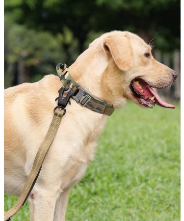 Joytale Tactical Dog Collar - Large Camouflage Dog Collar with Handle & QR Code Tag for Ultimate Safety | Shop Internationally - Buy Online on GoSupps.com