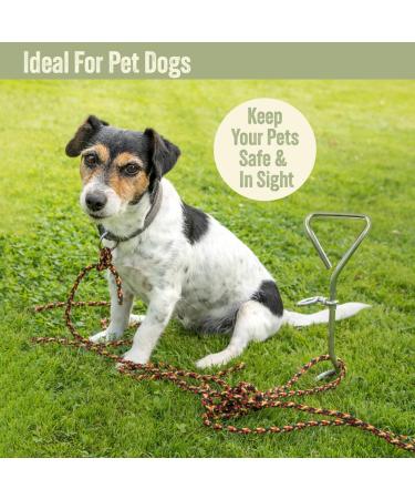 Milestone Camping 31690 Outdoor Corkscrew Tie Out Stake / Keyring Attachment / Tether Pets and Tents / Ideal for Camping Hiking Fishing and More - Buy Online on GoSupps.com