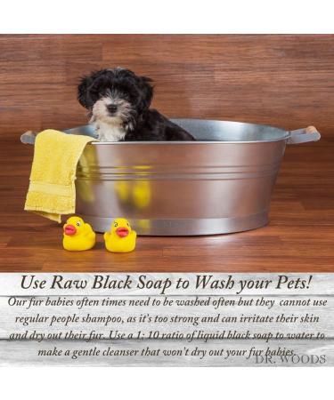 Dr. Woods Raw African Black Liquid Soap with Organic Shea Butter - 32 oz (Pack of 3) - Hydrating, Natural Cleanser - Buy Online on GoSupps.com
