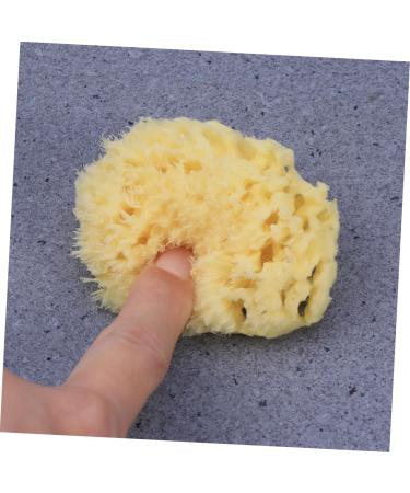DOITOOL Bath Sponge Sponges Bath Shower Sponge Seaweed Sponge Natural Bath Flower Baby - Buy Online on GoSupps.com