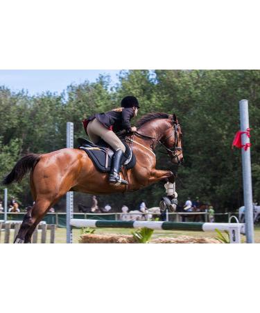 Premium Leather Riding Crop with Braided Handle | High Quality Equestrian Horse Crop - Buy Online on GoSupps.com