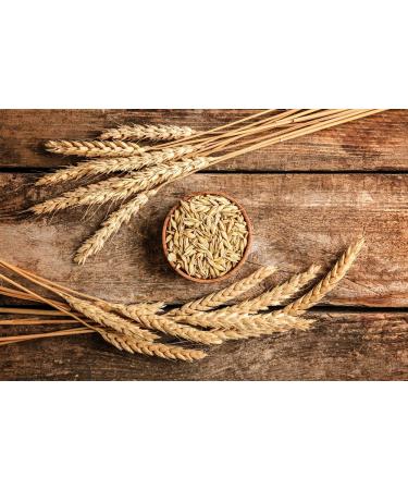 Sanniti Traditional Barley Malt Syrup 20 oz - Pure and Natural Sweetener - Buy Online on GoSupps.com