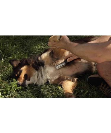 Alpha Pro All-in-One Pain-Free Grooming Tool for Long Haired Dogs - Knot and Tangle Remover - Gift for Dog Owners - Christmas Gift in Giftable Packaging - Buy Online on GoSupps.com