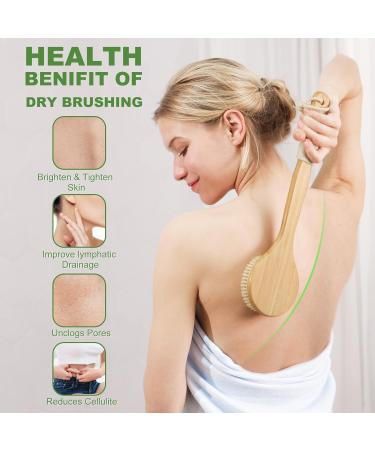 AIFEIVICO 4 Pack Dry Brushing Set with Long Handle Shower Brush - Natural Boar Bristles for Lymphatic Drainage and Cellulite Reduction - Buy Online on GoSupps.com
