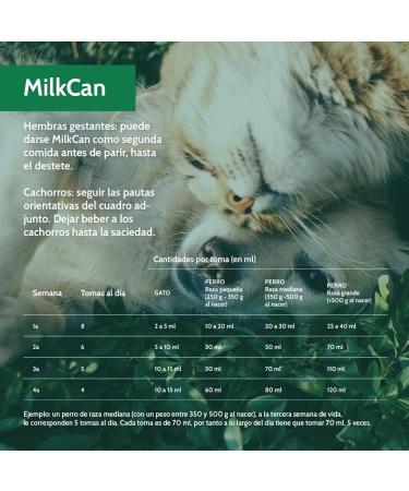 STANGEST Milk Can 400GR - Buy Online on GoSupps.com