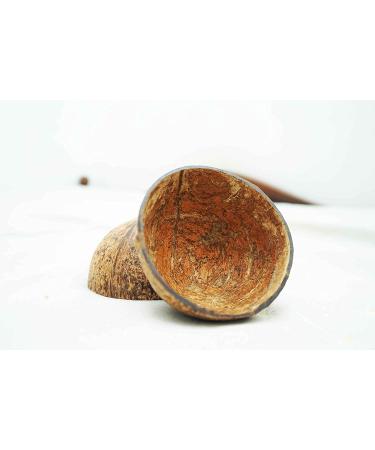 Two Coconut Shell Halves KC Creations - Buy Online on GoSupps.com