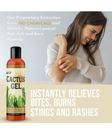 Cactus Juice Natural Soothing Moisturizer 8oz - Hydrating Dry Skin, Sunburns, Rashes & Itches - Buy Online on GoSupps.com