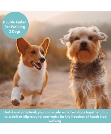 Multifunction Double Ended Lead for Dogs - Training and Walking Two Dogs with Close Control - Buy Online on GoSupps.com