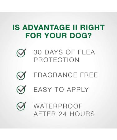 Advantage ii store extra large dog