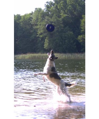 Buy DOGS and MORE Floatable Fabric Frisbee - Large Green Dog Toy | Durable Frisbee Disc for Dogs - Perfect for Outdoor Play - Buy Online on GoSupps.com