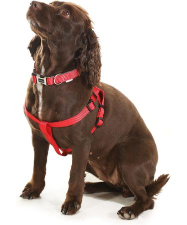 Doodlebone Originals Sapphire 1-2 Dog Harness - Comfortable and Stylish - Buy Online on GoSupps.com
