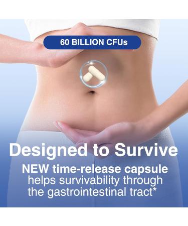 QRFWTX Acidophilus Probiotic - 60 Billion CFU Probiotics Immune Digestive & Gut Health Probiotics for Women & Men Gluten-Free Non-GMO cGMP Certified - 30 Acidophilus Capsules One Tablets Daily  - Buy Online on GoSupps.com