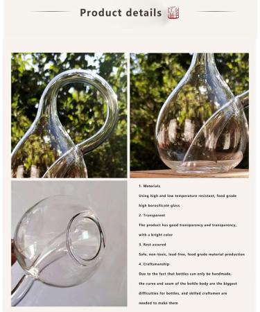 Felix Klein Bottle A Bottle That Looks like It 's Not Full of Water Creative Glass Bottle Clear Water Bottles Amazing Bottle for Home Decor Science Enthusiasts (Transparent 16cmx9cmx12cm) 16cmx9cmx12cm Transparent - Buy Online on GoSupps.com