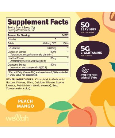 L-Glutamine Peach Mango - 50 Servings | 5g L-Glutamine Per Serving | Stevia-Sweetened | International Shipping Available - Buy Online on GoSupps.com