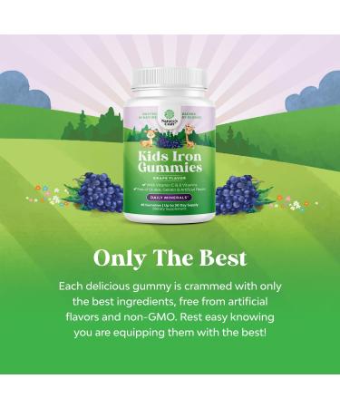 Kids Iron Gummies - Blood Builder Iron Supplements for Kids with Gentle for Stronger Immunity & Energy - Vitamin B12 Folate & Vitamin C Gummies - Vegan GMO & Gluten Free for Toddlers - 60 Count 60 Count (Pack of 1) - Buy Online on GoSupps.com