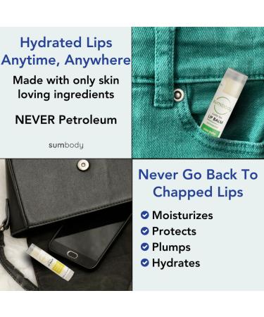 Natural Beeswax Lip Balm Gift Set - Assorted Flavors 100% Pure Ingredients Moisturizing & Nourishing for Dry Cracked Lips - Made in USA - Buy Online on GoSupps.com