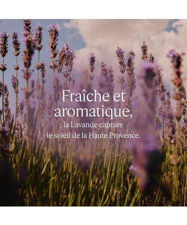 L'OCCITANE - Solid soap - Made in France - Buy Online on GoSupps.com