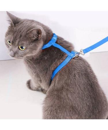 Adjustable Cat Leash & Dishes Set - Blue Nylon Cat Harness for Kittens Small Cats Rabbits & Dogs - International Shipping Available - Buy Online on GoSupps.com