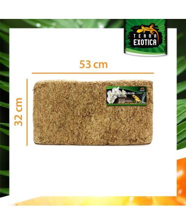 Buy Terra Exotica Sphagnum Moss (5 Kg) - Premium Peat Moss for Garden Houseplants & Terrariums | Fast International Shipping - Buy Online on GoSupps.com