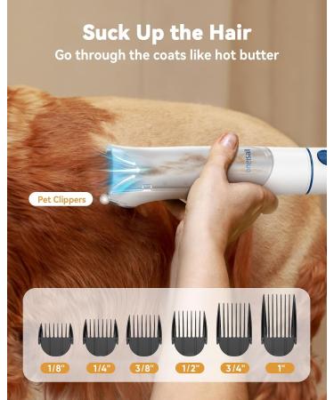 oneisall Dog Grooming Kit | Vacuum Blow Dryer & Clippers | 8 Tools for Shedding & Trimming | 7 Heat Levels | 2.5L Capacity - Buy Online on GoSupps.com