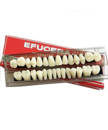 56 Pieces False Teeth Acrylic Resin Denture Replacement Kit - Horror Teeth Prop DIY | International Shipping Available - Buy Online on GoSupps.com