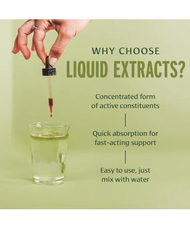 Banyan Botanicals Triphala Liquid Extract - Organic Digestion Supplement with Amla, Haritaki & Bibhitaki Colon Support & Healthy Gut Microbiome* 1 fl oz Non-GMO Sustainably Sourced Vegan - Buy Online on GoSupps.com