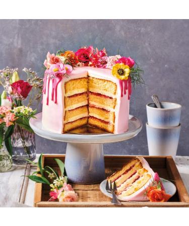 FunCakes Sponge Cake Mix Deluxe - Light & Easy to Use | 500g Vanilla Flavored | Confectioner Quality & Halal Certified - Buy Online on GoSupps.com