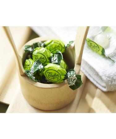  Trefin Eucalypto Arrangement - 3 kg - Buy Online on GoSupps.com