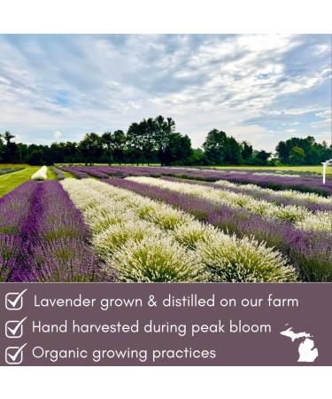 Lavender Hydrosol Floral Water - Distilled on Our Lavender Farm Facial Toner Aromatherapy Linen & Room Mist (32 oz (1/4 Gallon)) - Buy Online on GoSupps.com