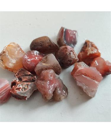 1pc/100g Natural Red Agate Stone Fish Tank Decoration Raw Material of Agate Chalcedony Body Raw Gemstone Specimen Collection Gift Ornaments (Color : 100g Size : 1.5-3cm) 1.5-3cm 100g - Buy Online on GoSupps.com