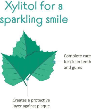 Himalaya Botanique Kids Toothpaste Cool Mint and Bubble Gum Variety Pack Fluoride-Free Gentle No Artificial Colors SLS Free Gluten Free 4 Oz (Pack of 2) - Buy Online on GoSupps.com