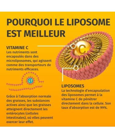 Vitamine C liposomale 1250mg - Important: Biodisponibilit et absorption maximales - 180 g lules v g taliennes de cerises d'ac rola - Green Naturals  - Buy Online on GoSupps.com