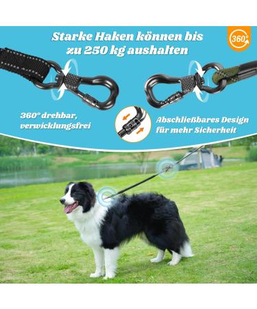 Aystkniet Bungee Dog Drag Line - 3m 5m 10m 15m 20m 30m | Shock-Absorbing Leash with Padded Handle & Reflective Threads for Medium Large Dogs - Army Green - Buy Online on GoSupps.com