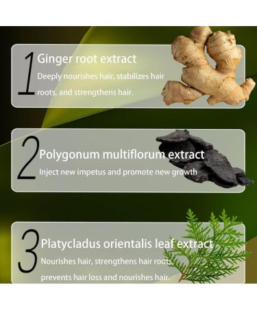 Anti-Hair Loss Shampoo with Ginger Plant Extract 240ml Japanese Ginger Extract Shampoo Polygonum Multiflorum Oil Control Anti-Dandruff Shampoo - Buy Online on GoSupps.com