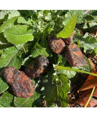 100g Crystals Stone Orange Garnet raw Stone for fengshui ZJGIDTEM - Buy Online on GoSupps.com