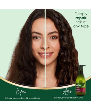 Olive Oil Moisturizing Hair Conditioner with Vitamin E & Shea Butter - Ideal for Dry Damaged Hair | International Shipping Available - Buy Online on GoSupps.com
