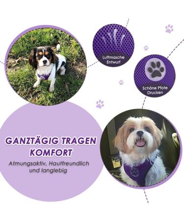 Slowton Dog Harness with Safety Belt for Car - Breathable Dog Seat Belt with 2 Carabiner Hooks - Purple Medium - Buy Online on GoSupps.com